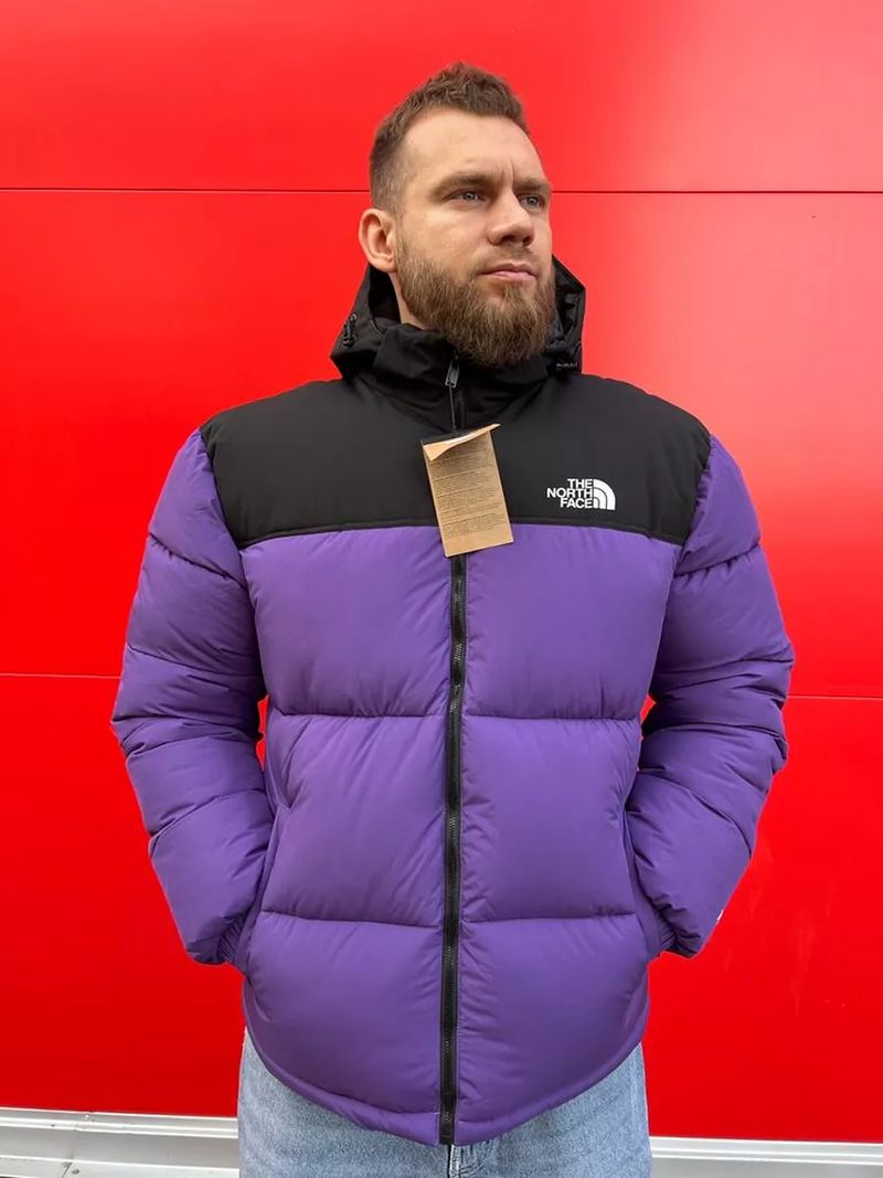 The North Face пуховик зимний утепленный с капюшоном 170752951