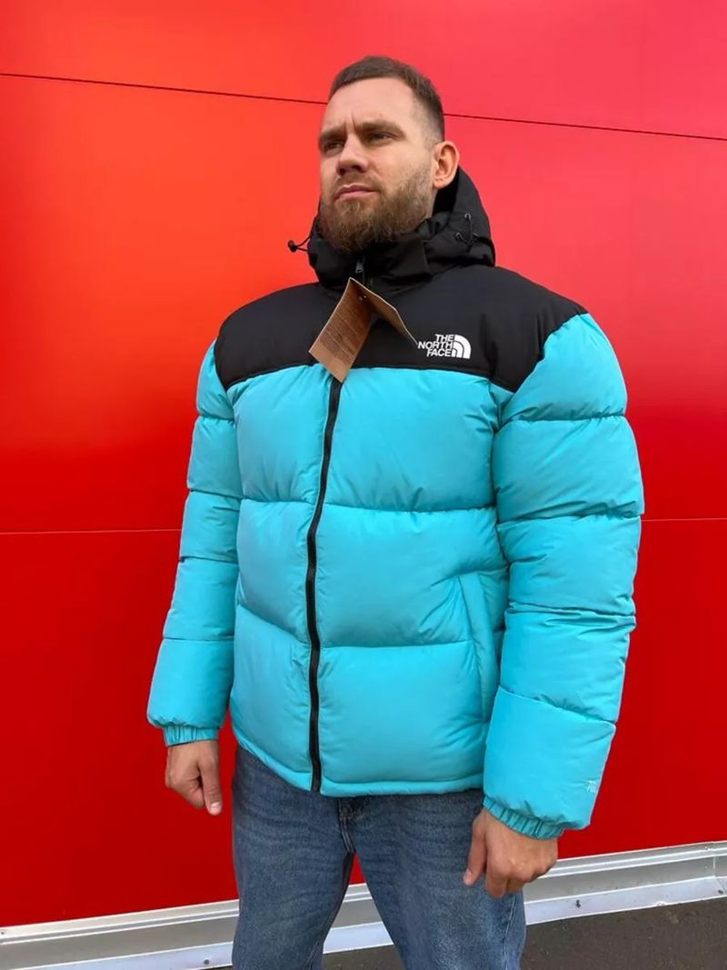 The North Face пуховик зимний утепленный с капюшоном 176570905