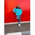 The North Face пуховик зимний утепленный с капюшоном 176570905