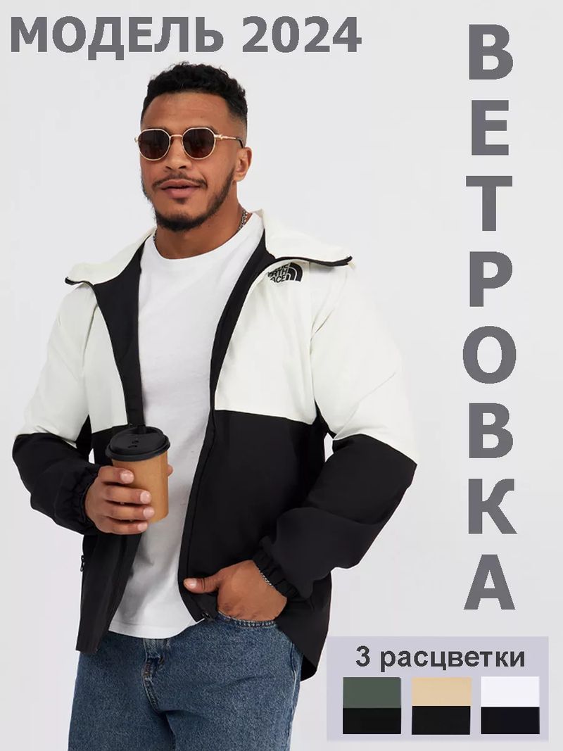 Ветровка TNF демисезонная без утеплителя с капюшоном 226081138