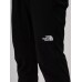 Штаны спортивные The North Face 226529930