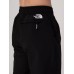 Штаны спортивные The North Face 226529930