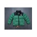 брендовый укороченный зимний  пуховик TNF 247454831