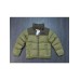 брендовая укороченная зимняя  куртка TNF 256060853
