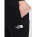 Утепленные спортивные штаны на манжете TNF 261467520